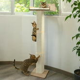 GreenPetopia cat window perch assembly diagram demonstrates easy setup for a sturdy, comfy lookout.