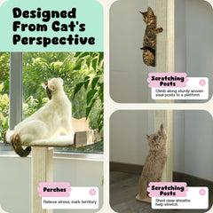 GreenPetopia cat window perch sisal post highlights durable scratch surface for satisfying instincts.