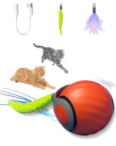 GREFID cat toys ball in motion engages curiosity and exercise for indoor cats.