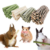 GREMBEB bunny-chew-stick-apple-branch close-up showing natural snack for dental wear