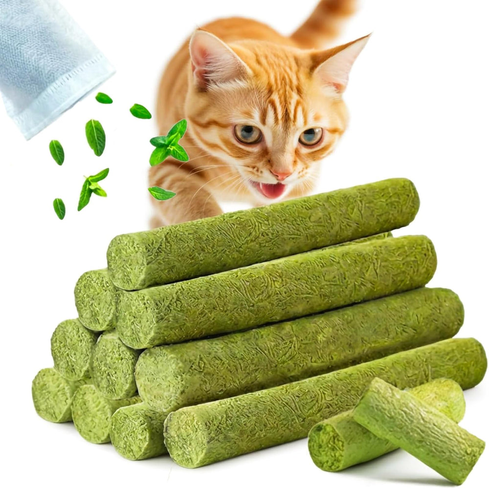 GREMBEB cat grass teething stick packaging highlights a convenient indoor snack option for cats.
