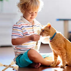 GREMBEB catnip toy in action for interactive play