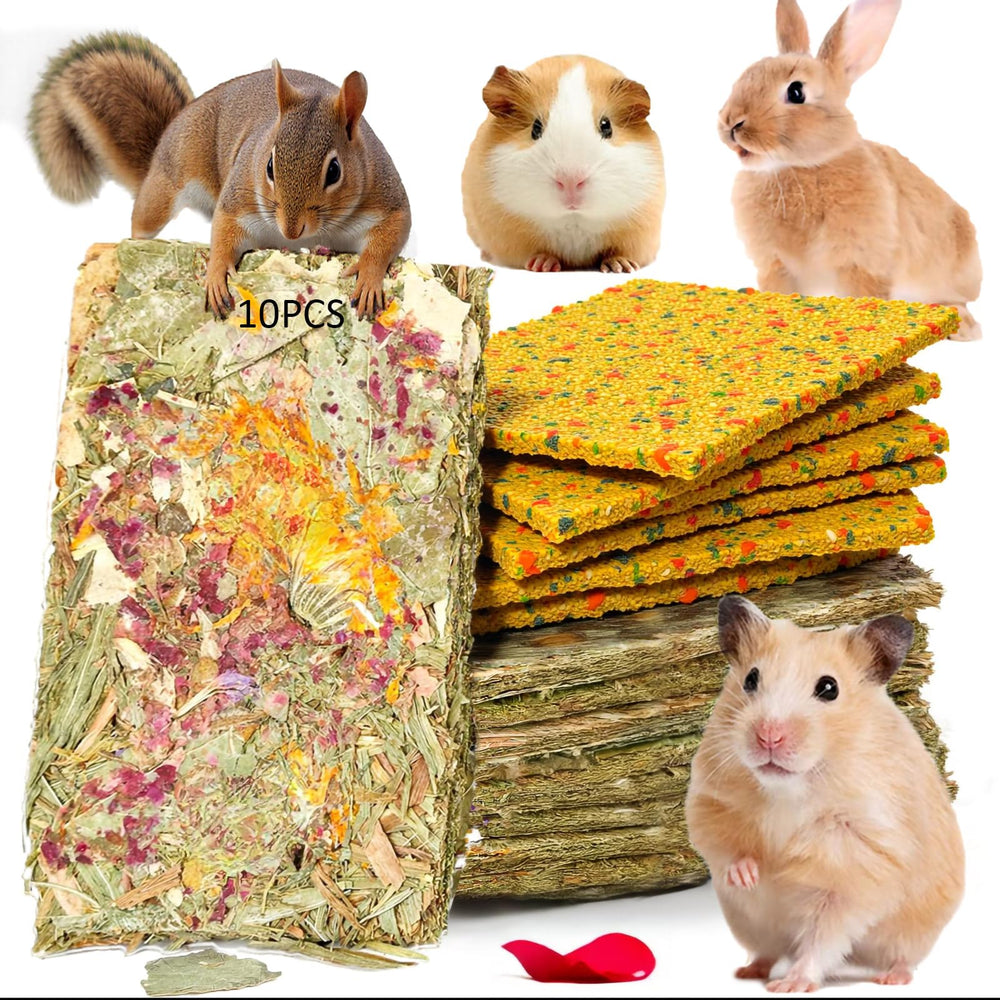 GREMBEB rabbit treat 10pcs packaging — fresh, convenient storage for quick feeding.