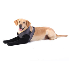 Grettytling dog socks breathable-design keeping paws dry during walks
