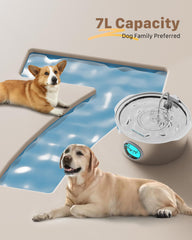 GROOKPET water level window demonstrates at-a-glance hydration status