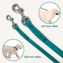GROOMERSPRO Jelly Pet Leash teal stitching reinforces durable joints for long-lasting use.
