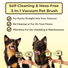 The Groomi self-cleaning deshedding mechanism demonstrates mess-free brushing into the vacuum.