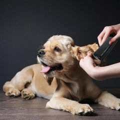 Groompro deshedding brush dematting close-up effective hair removal without pulling
