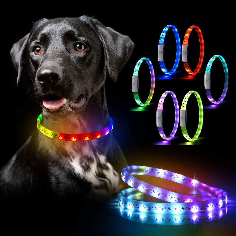 GS GLOWSEEN LED dog collar shows color modes for day and night visibility