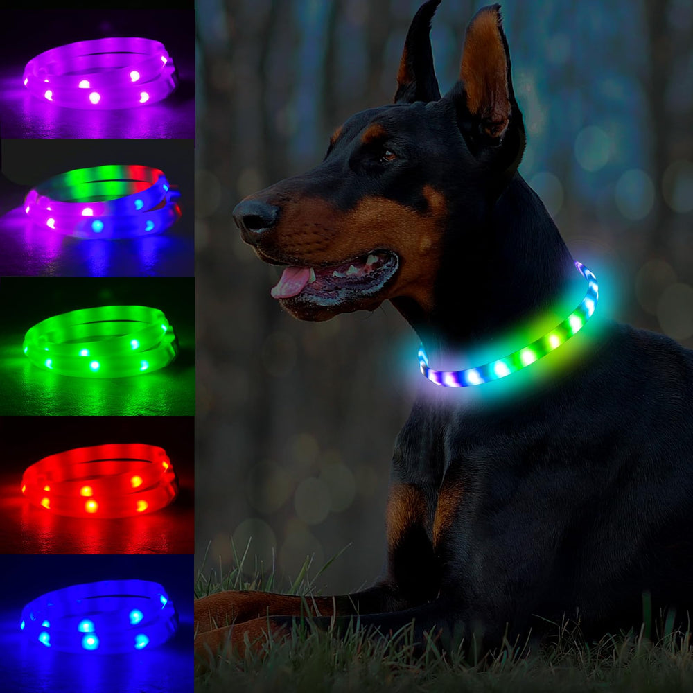 GS GLOWSEEN light-up dog collar front view with bright LEDs for safety