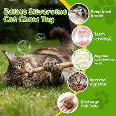 GBSYU refillable catnip bag included for ongoing catnip fun