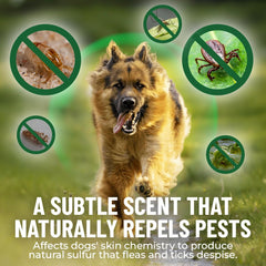 Guardian's Choice chews in hand highlight tasty chicken flavor for stress-free administration.