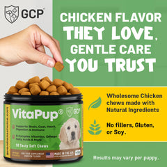 Guardian's Choice VitaPup chews on hand with puppy-friendly texture.