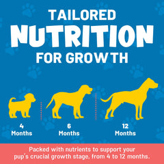 Guardian's Choice VitaPup chicken-flavor chews appealing to picky puppies.