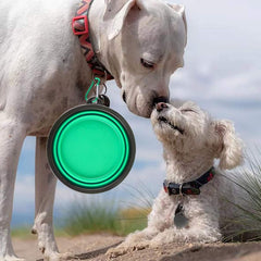 Guardians collapsible dog bowls collapsed for compact storage in a backpack or car.