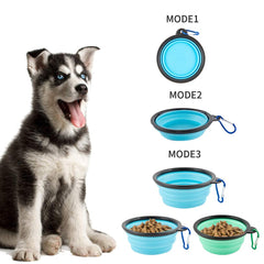 Guardians travel bowls provide 12 oz water capacity for dogs on adventures.