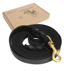 Guiding Star Leather Dog Leash clip with 360° brass rotation for secure control.