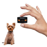 Guidoy tiniest bark collar for small dogs—compact design for daily walks.