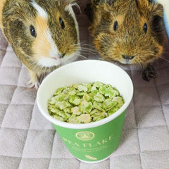 GuineaDad dual-lid packaging enables easy pour and mess-free sharing.