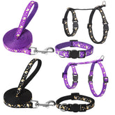 Guiqulai glow-in-dark cat harness on small cat for high visibility
