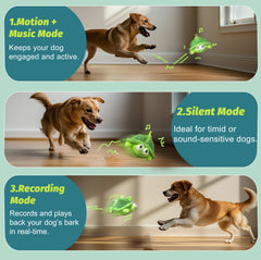 GUKCO dog toy bouncing ball emphasizes active play and attention grabbing.