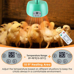 Gulfmew chicken coop heater LED display shows precise heat settings at a glance