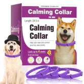 Guowo calming collar four-pack box highlights long-lasting pheromone relief for anxious dogs.