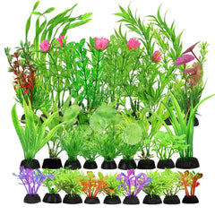 Gupawix aquarium plants variety styles for vibrant tank decor.
