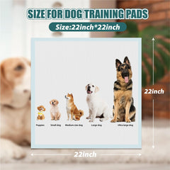 GWT 5-layer absorbent surface for quick mess containment