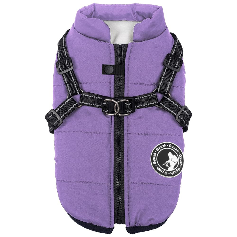 Gyuzh dog coat with harness front view shows warm protection for cold walks.