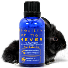 HealthyAnimals4Ever HA4E rabbit E. cuniculi tablets packaging supports natural infection management