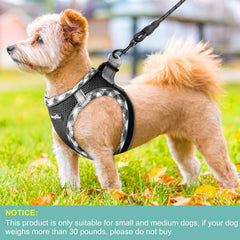 haapaw harness with 360° reflective strips for high visibility in low light.