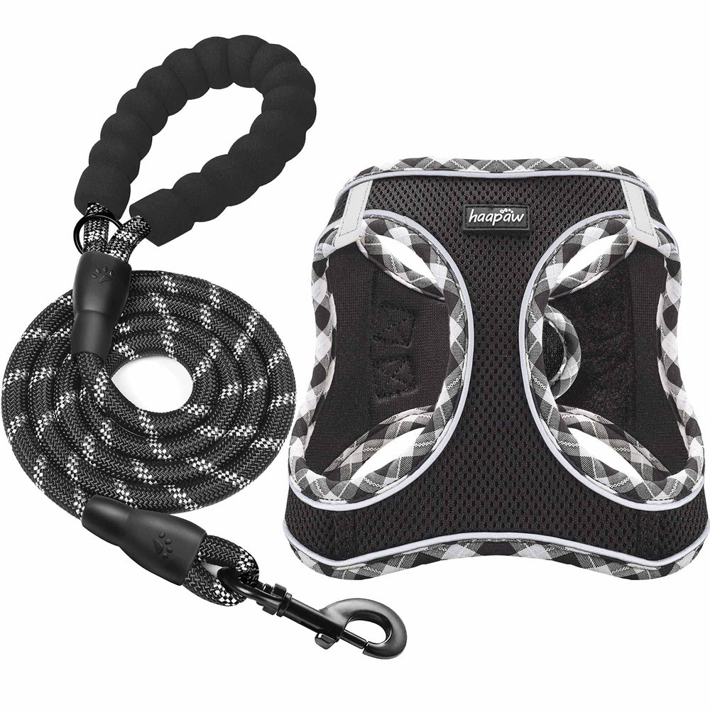 haapaw dog harness with leash set showing padded vest for secure, comfy walks.