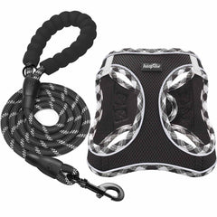haapaw dog harness with leash set showing padded vest for secure, comfy walks.