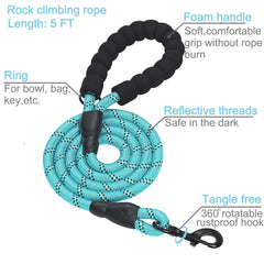 haapaw durable nylon dog collar with heavy-duty hardware for long-lasting training.