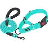 haapaw martingale dog collar buckle quick-release for easy on/off during daily walks.