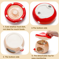 Hacaroa ceramic-hamster-bed provides summer cooling and winter warmth for small pets.