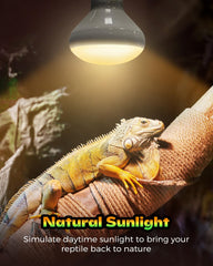 Haceryc reptile heat lamp glass-filament close-up highlights durable build for steady heat