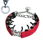 HAESINPA prong collar with quick-release buckle for easy on off during training sessions