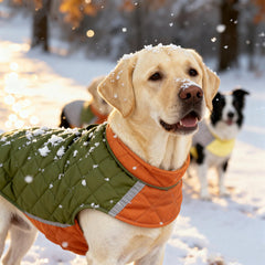 Hahbabya reversible waterproof dog coat army green orange xl reversible side shows two styling options