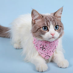 HaiFafafaing cat bandana aqua stands out at the park or indoors