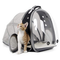 halinfer Back Expandable Cat Backpack Carrier front bubble view enhances pet visibility during travel.