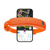 Halo Collar 5 boundary setup helps map safe zones for your dog