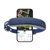 Halo Collar 5 fence setup shows boundary control for your dog.