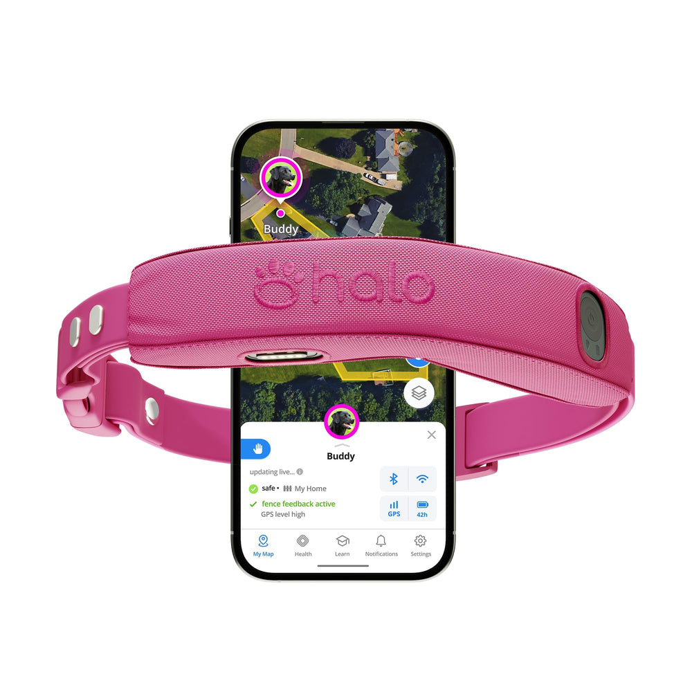 Halo Collar 5 Orchid front view with durable daily safety