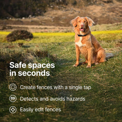 Halo Collar 5 Orchid subscription plans for GPS service options