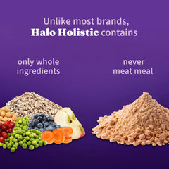 Halo Holistic Vegan Dog Food ingredients label showing non-GMO and no corn.