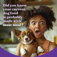 Halo Holistic Vegan Dog Food kelp detail illustrating added minerals and antioxidants.