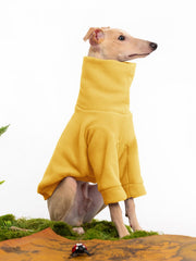 Haloumoning dog fleece sweater on-dog walk demonstrates versatile warmth outdoors.
