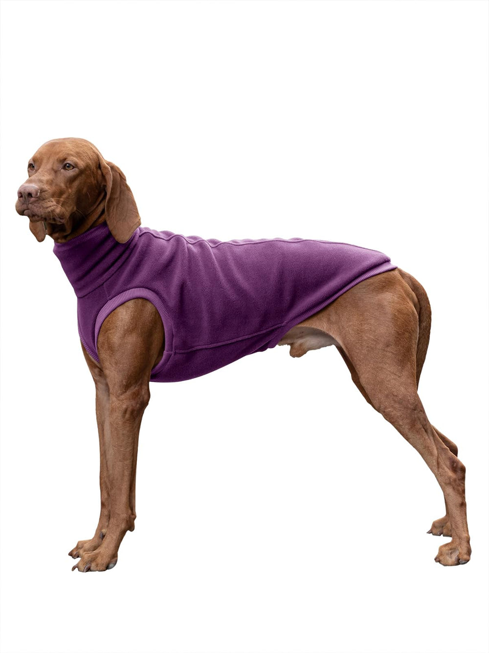 Haloumoning fleece dog sweater front view shows warm turtleneck for chilly days indoors or outdoors.